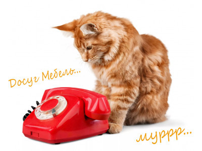 Контакты